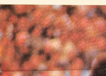 1980 Scanlens VFL #88 Jim Buckley Back